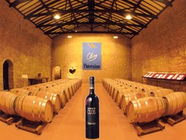 Bodegas Paternina