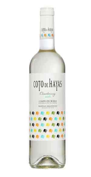 Coto de Hayas Blanco Joven 2021