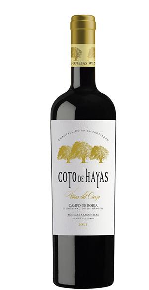  Coto de Hayas Viñas del Cierzo Reserva 2015