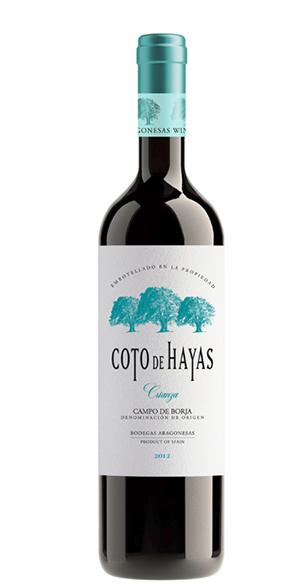 Coto de Hayas Crianza 2017